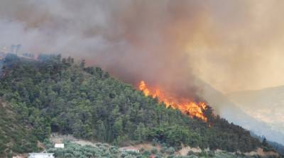 Лесные пожары в Греции: эвакуируют села и монастыри