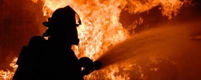 На пожаре в многоэтажке в Калининграде погиб 11-летний ребенок