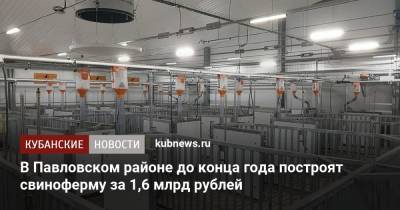 В Павловском районе до конца года построят свиноферму за 1,6 млрд рублей