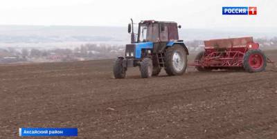 В Ростовской области рисом засеяли уже более 2,5 тысяч гектаров