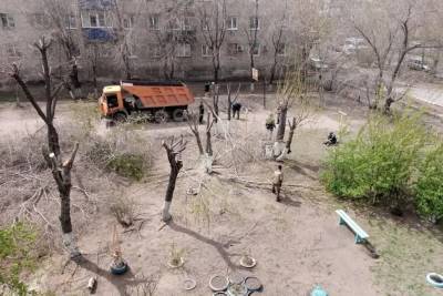 Мэрия Читы: Вырубка деревьев во дворе дома на проспекте Советов,14 — инициатива граждан