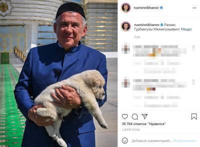 Минниханов опубликовал видео щенка алабая, подаренного Бердымухамедовым