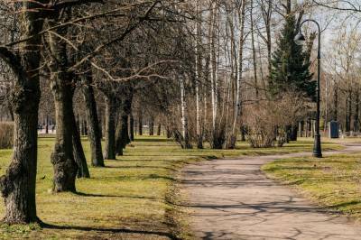 В начале лета в Ленобласти откроют два новых парка
