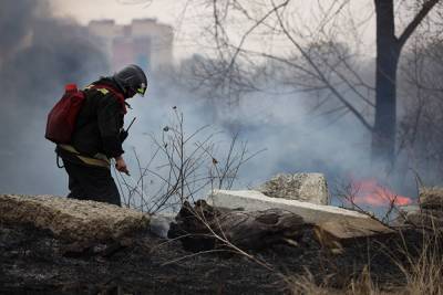 Прокуратура начала проверку из-за лесного пожара, гарь которого ночью окутала Екатеринбург