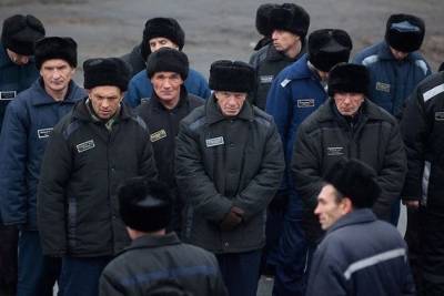 Директор ФСИН России предложил заменить трудовых мигрантов заключёнными