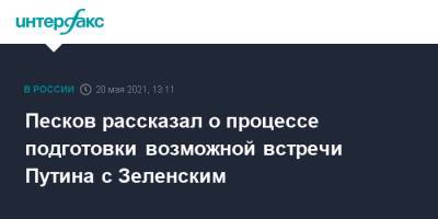 Песков рассказал о процессе подготовки возможной встречи Путина с Зеленским