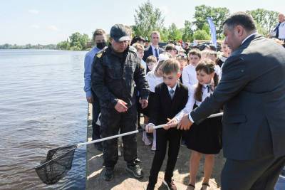 Игорь Руденя со школьниками выпустил 13 тысяч молоди стерляди в Волгу