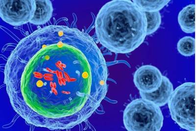 Петербуржцы начали сдавать тест на клеточный иммунитет