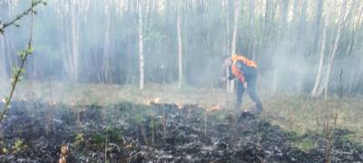 На севере Карелии до ночи тушили лесной пожар, вспыхнувший от замыкания высоковольтной линии