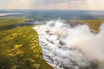 Внимание жителей Мурманской области – в регионе высокий класс пожарной опасности