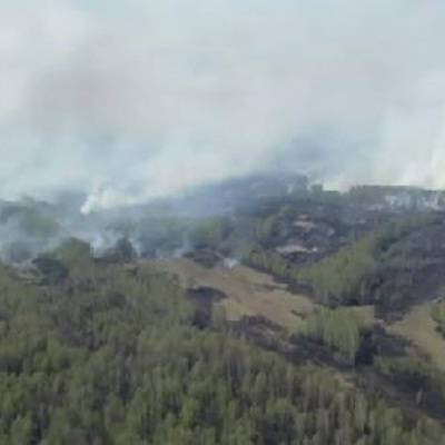 Количество природных пожаров в Тюменской области увеличилось на 13 за сутки
