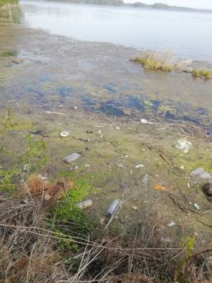 Жители пожаловались на обмеление озера Увильды и мусор на берегах