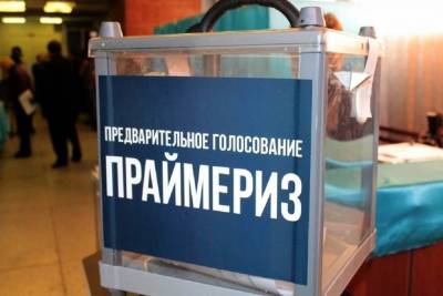 Группа депутатов Госдумы выступила против праймериз