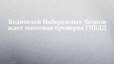 Водителей Набережных Челнов ждет массовая проверка ГИБДД