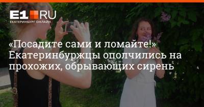 «Посадите сами и ломайте!» Екатеринбуржцы ополчились на прохожих, обрывающих сирень