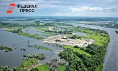 Ко Дню Волги сотрудники «Роснефти» очистили 20 тысяч квадратных метров берега