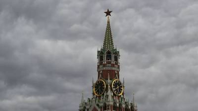 Спасатели предупредили о грозе и порывистом ветре в Москве