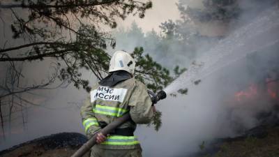 Лесной пожар под Екатеринбургом локализован