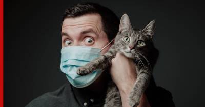 Можно ли заразиться коронавирусом от кошки, рассказал эпидемиолог