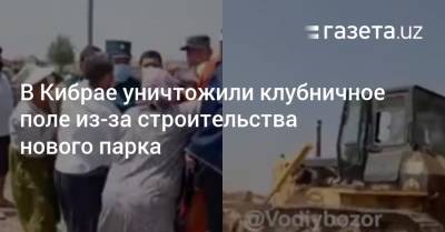 В Кибрае уничтожили клубничное поле из-за строительства нового парка