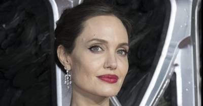 «Одна забралась под платье»: рой пчел ползает по Анджелине Джоли в новой съемке