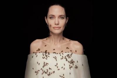 Анджелина Джоли снялась в рое пчел ради их спасения