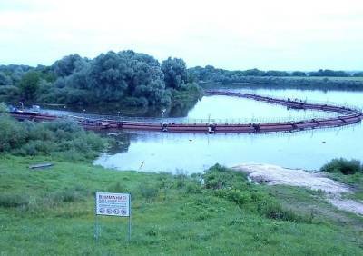 Рязанский «Водоканал» отчитался о работе по улучшению качества воды