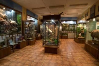 Библиотека поздравила Андреапольский музей с профессиональным праздником