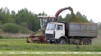 В Витебской области к массовой заготовке кормов планируется приступить в начале июня