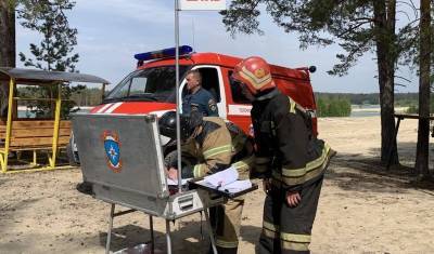 Спасатели МЧС локализовали пожары около Муллашей и в Ярковском районе