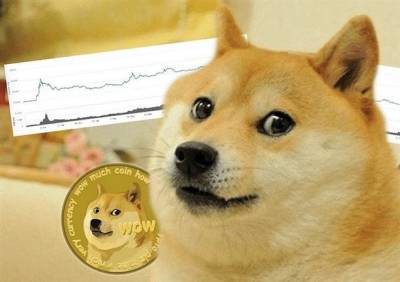 Dogecoin вырос за 15 минут на 16%. Причина — твит Маска
