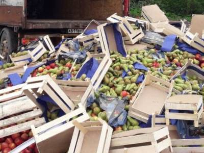 В Псковской области бульдозером раздавили 10 тонн польских груш (видео)
