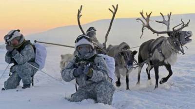 США пресекли попытку РФ легализовать милитаризацию Арктики
