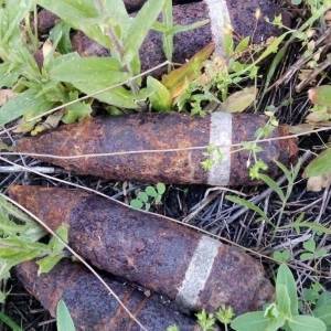 В поле возле запорожского села нашли 35 боеприпасов. Фото
