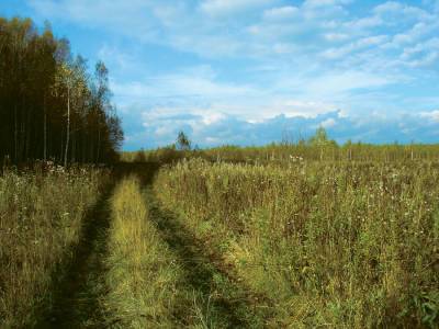 Землевладельцу 340 заросших гектаров в Тверской области грозит небольшой штраф