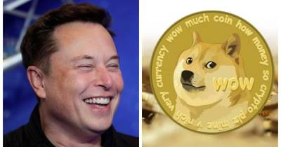 Криптовалюта Dogecoin выросла в цене на 16% после твита Маска