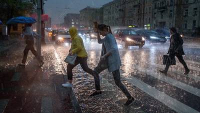 В Петербурге с приходом грозы снова закрыли парки и скверы