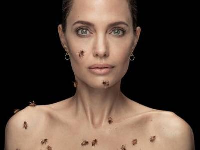 Во Имя Добра: Раздетая Анджелина Джоли залезла в рой пчел