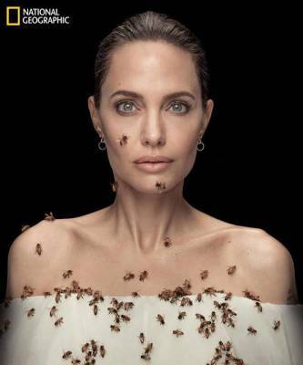Пчелы на мед: Анджелина Джоли в проекте National Geographic