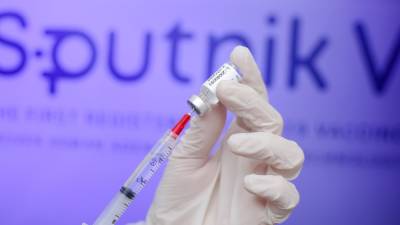 Австрийский посол в РФ сообщил о самочувствии после вакцинации "Спутником V"