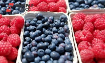 Как отличить российские ягоды от иностранных: советы агронома