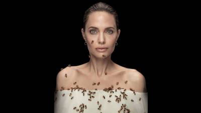 Джоли снялась с роем пчел для привлечения внимания к их защите