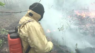 Вести. Лесные пожары: в Тюменской области на очаги сбросили сотни тонн воды