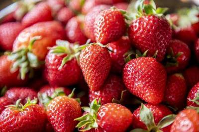 Медик назвал ягоду, предотвращающую раковые заболевания