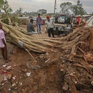 В Индии циклон Тауктае унес жизни более сотни людей