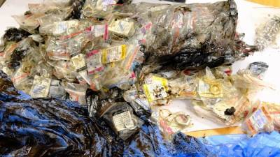 В Казани полицейские откопали мешки с драгоценностями на 160 миллионов