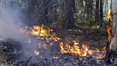 Спасатели предупредили о высокой пожароопасности в Нижегородской области