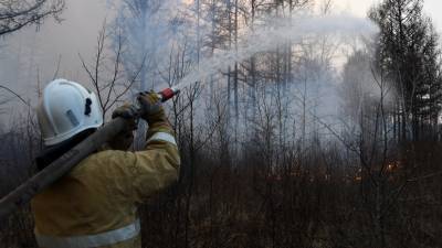 В Росгидромете прокомментировали ситуацию с лесными пожарами в регионах