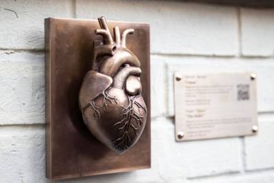 Почувствуй, как бьется сердце: в Киеве появилась необычная мини-скульптура