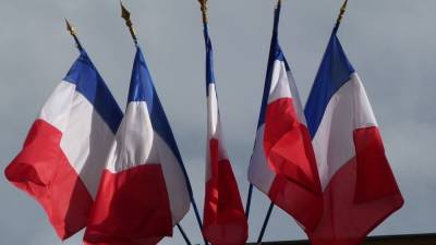 Франция вновь попыталась дискредитировать помощь России жителям ЦАР
